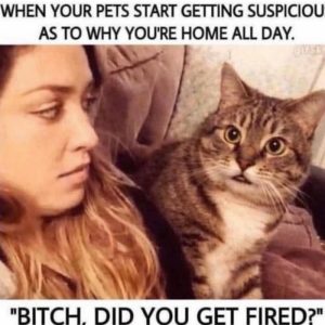 Stupid Bar Memes aZZXKnVssb