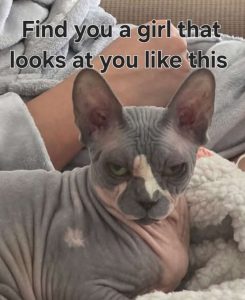 Stupid Bar Memes abADK4Lssb