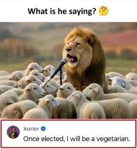 Stupid Bar Memes adBwBANss