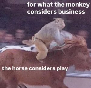 Stupid Bar Memes ae9zwymssb