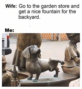 Stupid Bar Memes ajPvyywssb