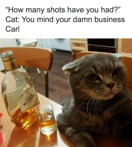 Stupid Bar Memes ajPwAdwssb
