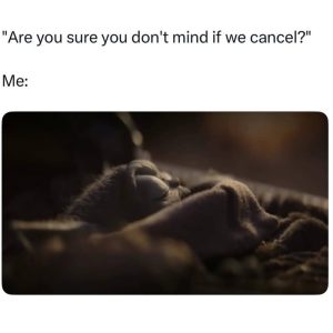 Stupid Bar Memes ajPwZo8ss