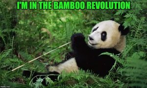 Stupid Bar Memes amduNi5qcGc
