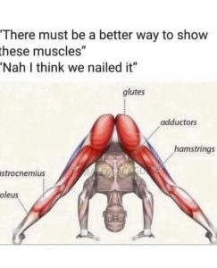 Stupid Bar Memes amowm82ss