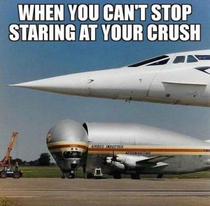 Stupid Bar Memes an7Z0B5ssb