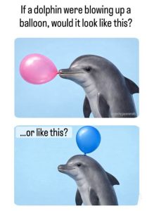 Stupid Bar Memes an7Z3d0ssb