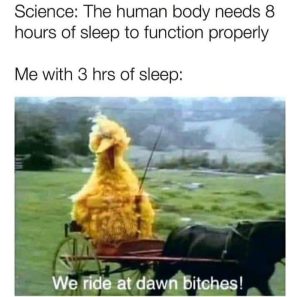Stupid Bar Memes an7Z3yqssb