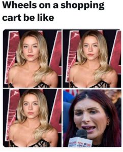 Stupid Bar Memes an7wDe5ss