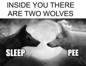 Stupid Bar Memes an7wbwLssb