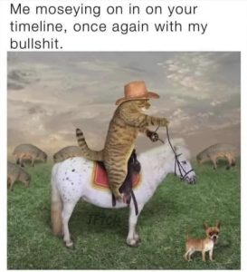 Stupid Bar Memes aoyod7Xssb