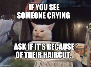 Stupid Bar Memes arywyjXss