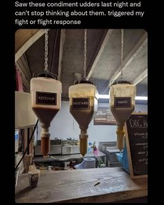 Stupid Bar Memes avywOjEssb