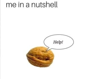 Stupid Bar Memes avywRLdss