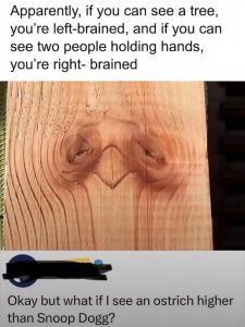 Stupid Bar Memes avywy2Oss