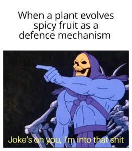 Stupid Bar Memes awy2ZZ4ss