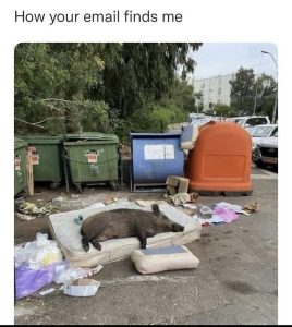 Stupid Bar Memes azxyommssb
