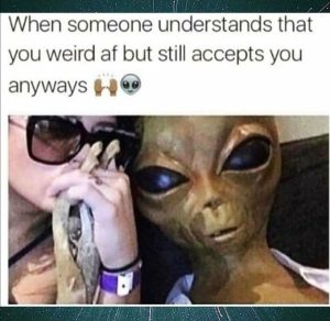 Stupid Bar Memes b29c1c92a