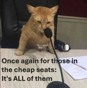 Stupid Bar Memes cainscheapssea