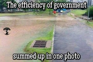 Stupid Bar Memes d9637e