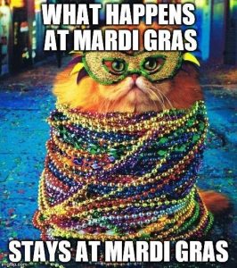 Stupid Bar Memes dea7a76d25