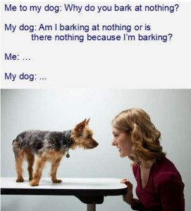 Stupid Bar Memes dngsbecause