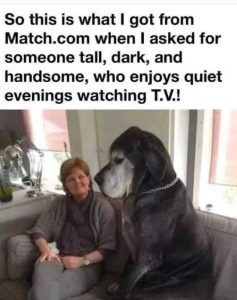 Stupid Bar Memes gotallsdark