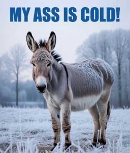Stupid Bar Memes jackasscold