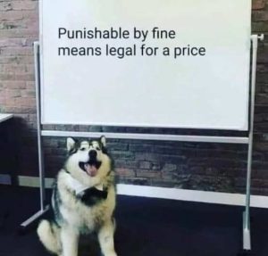 Stupid Bar Memes messanesmeans