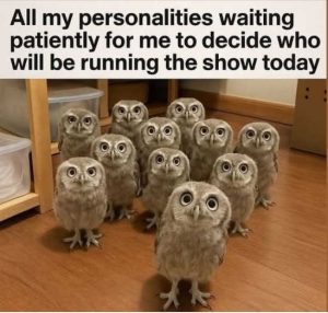 Stupid Bar Memes owlssentlyswai