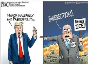 Stupid Bar Memes trfullyspatriotic