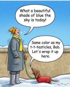 Stupid Bar Memes wintersdskysda