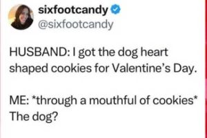 Stupid Bar Memes xshusbartsshaped