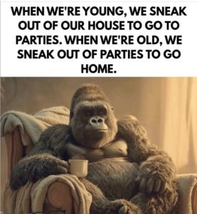 Stupid Bar Memes yosesparties