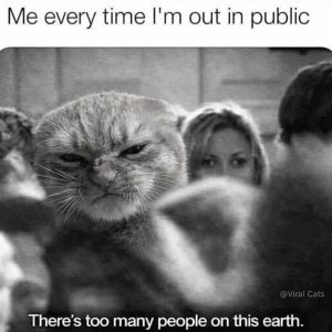 Stupid Bar Memes 008s542