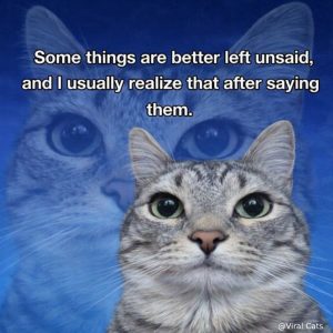 Stupid Bar Memes 008s704