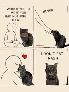 Stupid Bar Memes 00s10563