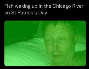 Stupid Bar Memes 132f00