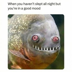 Stupid Bar Memes 252s441058