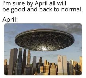Stupid Bar Memes 2968bb9