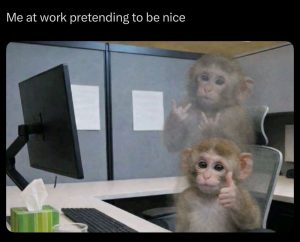 Stupid Bar Memes 6066s3197