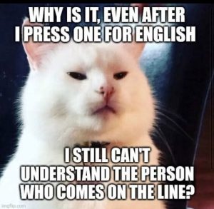 Stupid Bar Memes 8307