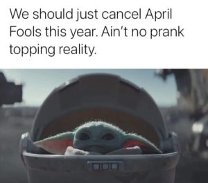 Stupid Bar Memes a1m6Bbvss