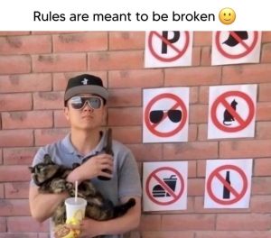 Stupid Bar Memes a1m6MEvssb