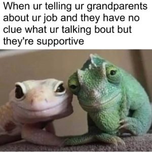 Stupid Bar Memes a34O3Eessb