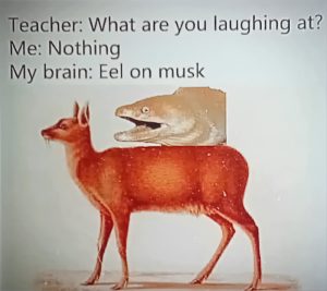 Stupid Bar Memes a34rg5rssb