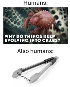 Stupid Bar Memes a4P0EDms700b