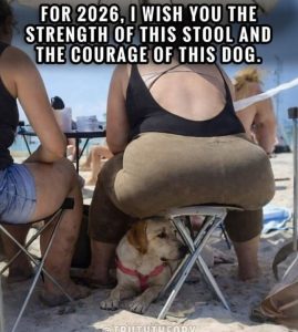 Stupid Bar Memes a4PyXVAssb