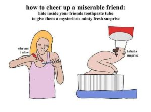 Stupid Bar Memes a5Q30Grssb
