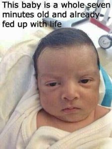 Stupid Bar Memes a6ZREzms700b